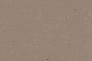 Линолеум Forbo Marmoleum Solid Cocoa 3580-358035 milk chocolate фото  | FLOORDEALER